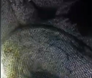 1663517709924381.jpg hljbjdms1.jpg