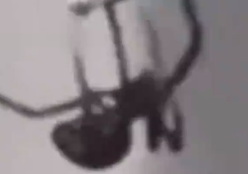 1667859133292410.jpg xmdgfzzyz1.jpg