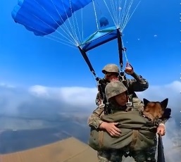 gtslha1.jpg